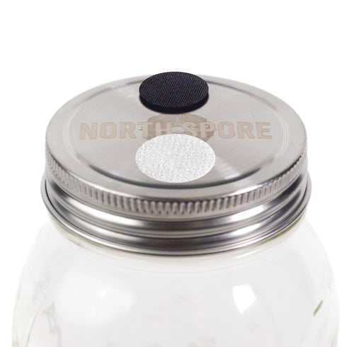6 pc. 'Regular Mouth' Culture Jar Lid with Port & Filter